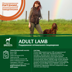 Wellness Core сухой корм для взрослых собак всех пород с ягненком и яблоком 1,8 кг