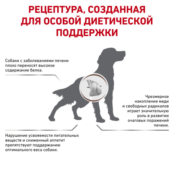 Royal Canin Hepatic HF16 корм для собак при заболеваниях печени - 6 кг