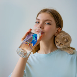 Monge Gift Shop Collection 2023 бутылка для воды Шотландская вислоухая кошка (Скоттиш фолд)