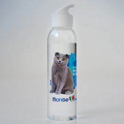 Monge Gift Shop Collection 2023 бутылка для воды Шотландская вислоухая кошка (Скоттиш фолд)