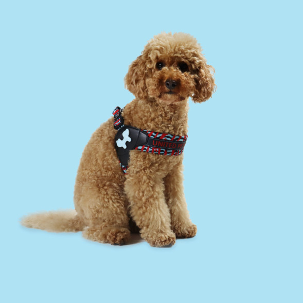 United Pets Complete me шлейка для собак, XS 40 x 37-46 см, красная зебра