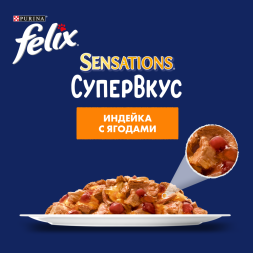 Паучи Felix Sensations Супервкус для взрослых кошек с индейкой и ягодами - 75 г х 26 шт