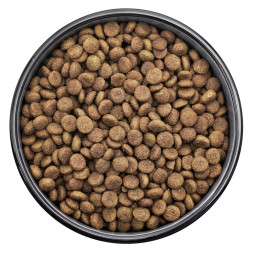 Florida сухой корм для взрослых собак средних пород с курицей и яблоком - 1 кг