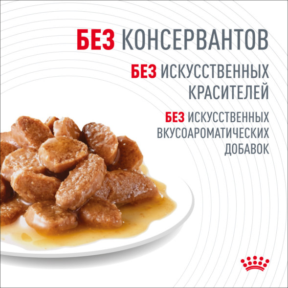 Royal Canin Digestive Care влажный корм для взрослых кошек с чувствительным пищеварением, в паучах, в соусе - 85 г х 28 шт