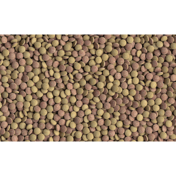 Tetra TabletsTabiMin корм для всех видов донных рыб 1040 таб - 310 г