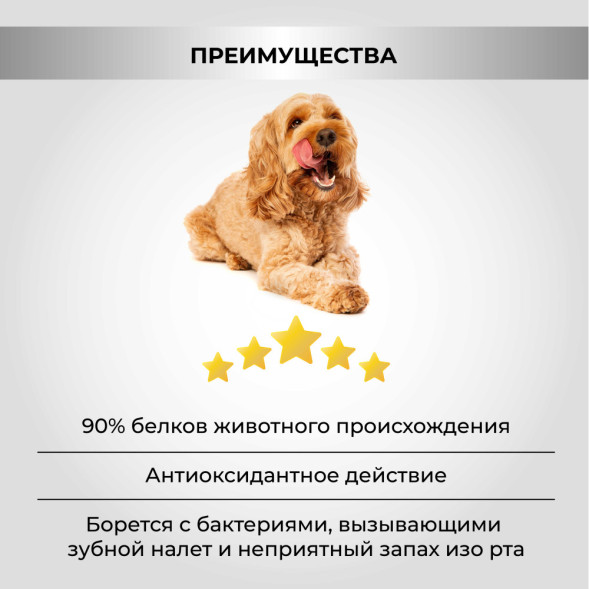 Necon Natural Wellness Senior &amp;amp; Delicate Duck and Rice сухой корм для пожилых собак мелких пород и собак с чувствительным пищеварением, с уткой и рисом - 2 кг