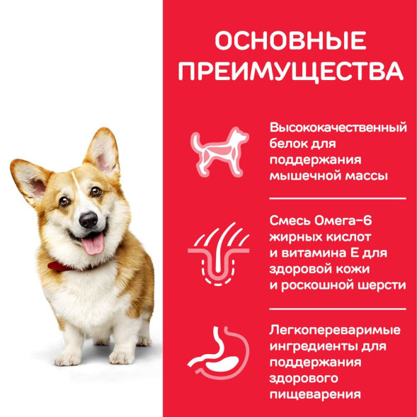 Сухой корм Hills Science Plan для взрослых собак мелких пород для поддержания здоровья кожи и шерсти, с курицей - 1,5 кг