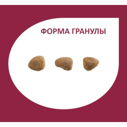 Granplus Gourmet Cat Sterilised сухой корм для взрослых стерилизованных и кастрированных котов и кошек лосось и цыпленок, мультипачка - 1,01 кг x 10 шт