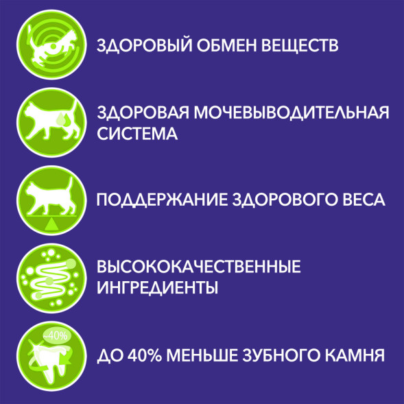 Purina One Природа Здоровья сухой корм для стерилизованных кошек с говядиной - 680 г