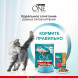 Purina One Природа Здоровья сухой корм для стерилизованных кошек с говядиной - 680 г