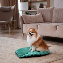 Mr.Kranch лежанка для собак Листочек, большая двусторонняя, 120х73х6 см, зеленая