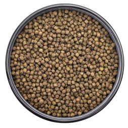 Florida сухой корм для котят с индейкой и клюквой - 800 г