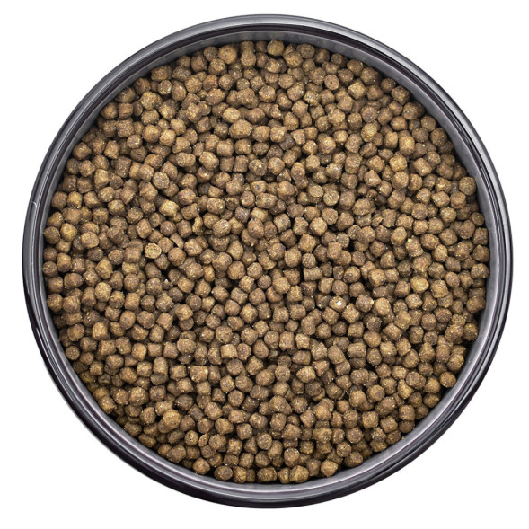 Florida сухой корм для котят с индейкой и клюквой - 800 г