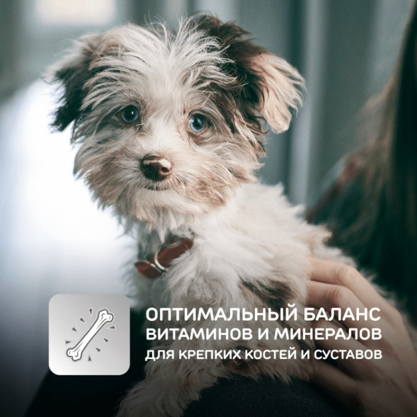 Hills Science Plan сухой корм для щенков мелких пород с курицей - 1,5 кг
