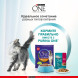 Purina One Природа Здоровья сухой корм для взрослых кошек с курицей - 680 г