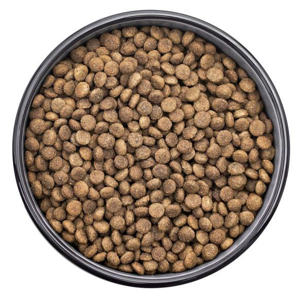 Florida сухой корм для взрослых собак мелких пород с курицей и яблоком - 1 кг