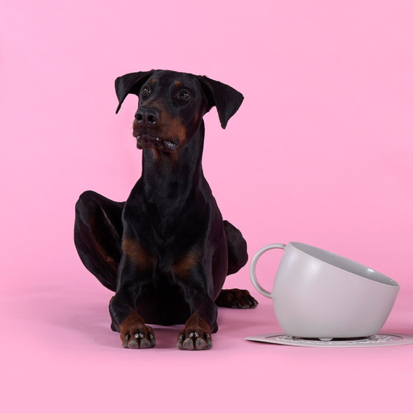 United Pets Kit CUP чашка + коврик, серые