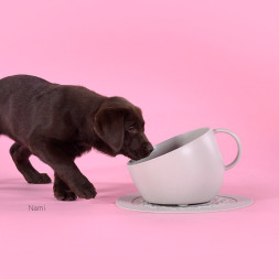 United Pets Kit CUP чашка + коврик, серые