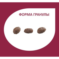 Granplus Gourmet Dog сухой корм для взрослых собак мелких пород, с индейкой и рисом - 3 кг