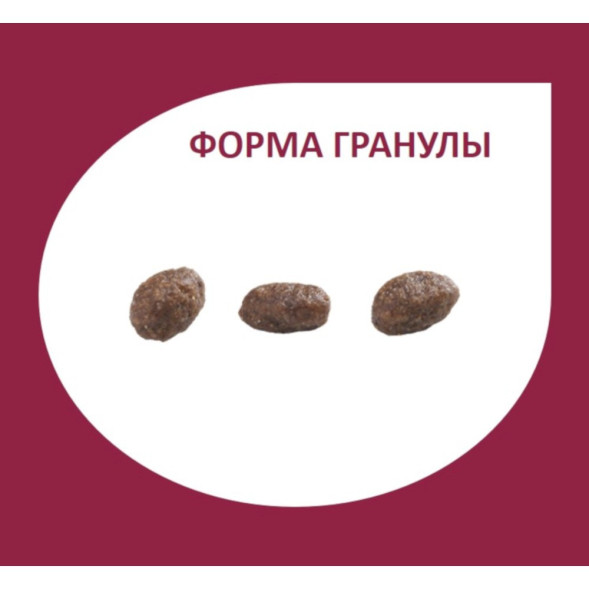 Granplus Gourmet Dog сухой корм для взрослых собак мелких пород, с индейкой и рисом - 3 кг