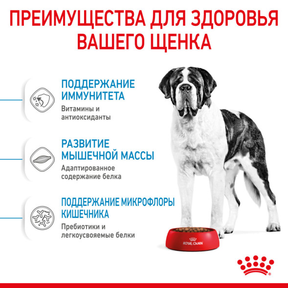 Royal Canin Giant Junior сухой корм для молодых собак гигантских пород с курицей - 3,5 кг