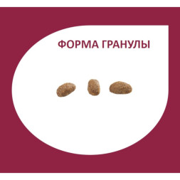 Granplus Gourmet Cat Sterilised сухой корм для взрослых стерилизованных и кастрированных котов и кошек, с индейкой и рисом, мультипачка - 1,01 кг x 10 шт