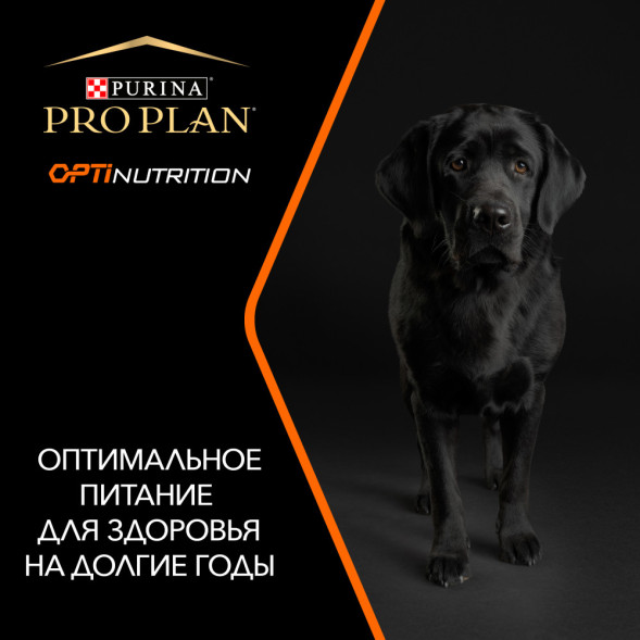 Purina Pro Plan Adult Medium сухой корм для взрослых собак средних пород с курицей и рисом - 14 кг
