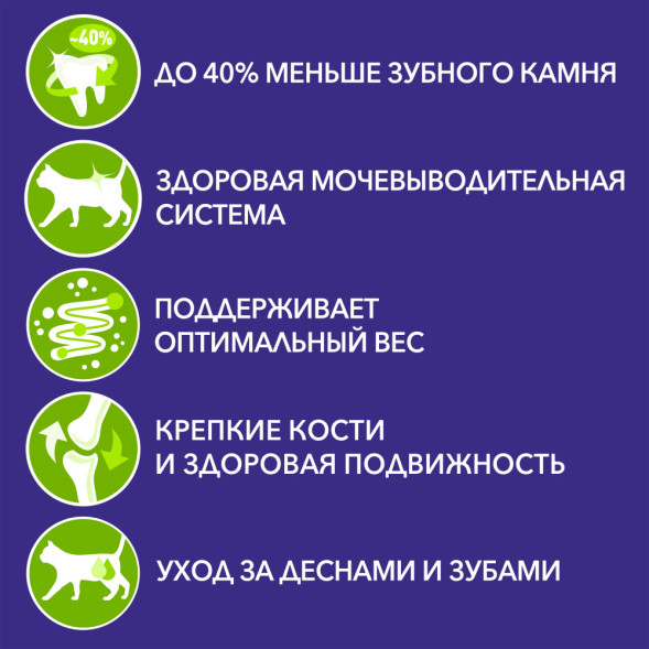 Purina One Природа Здоровья сухой корм для взрослых кошек с курицей - 180 г