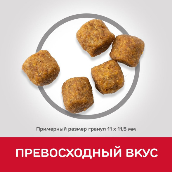 Hills Science Plan сухой корм для пожилых собак средних пород с ягненком и рисом - 2,5 кг